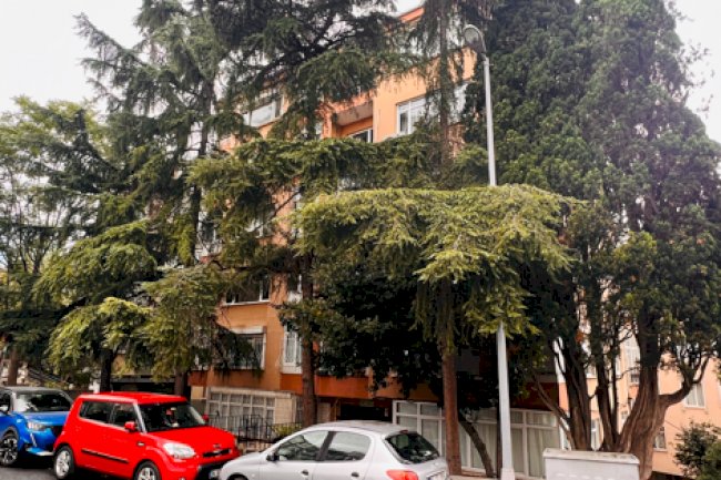 Hoşsohbet Apt