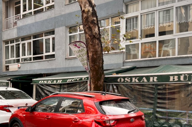 Oskar Ev Yemekleri & Cafe