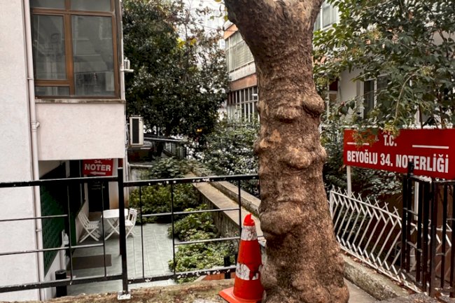 Beyoğlu 34.Noterliği