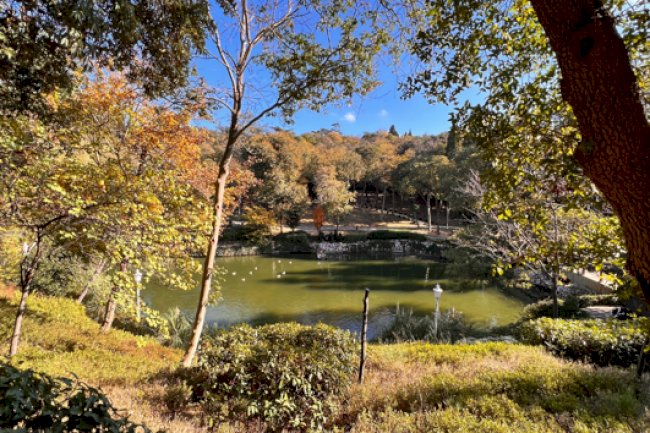 Yıldız Parkı ve Korusu