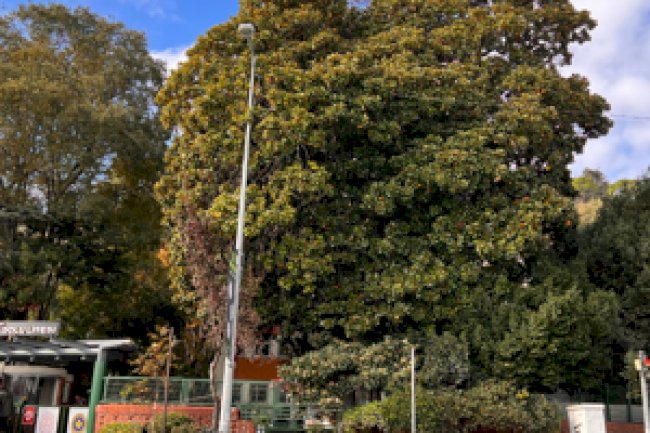 Arnavutköy Korkmaz Yiğit Anadolu Lisesi