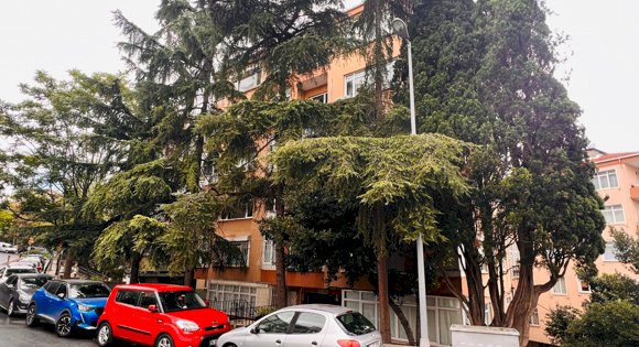 Hoşsohbet Apt