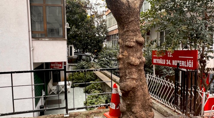Beyoğlu 34.Noterliği
