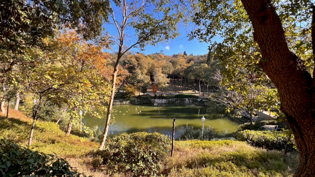Yıldız Parkı ve Korusu